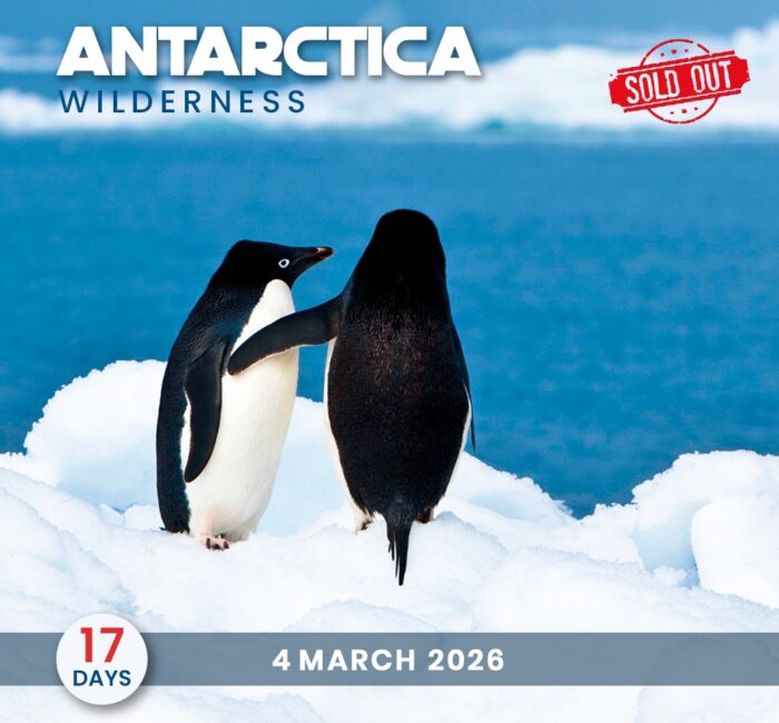 Antarctica Wilderness