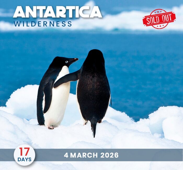 Antarctica Wilderness