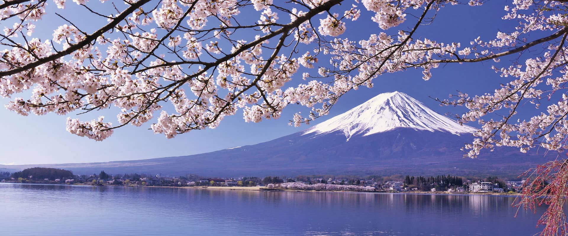 Mount Fuji