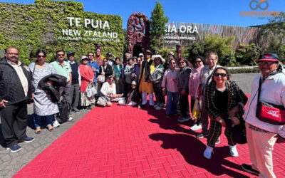 Pristine New Zealand Gallery